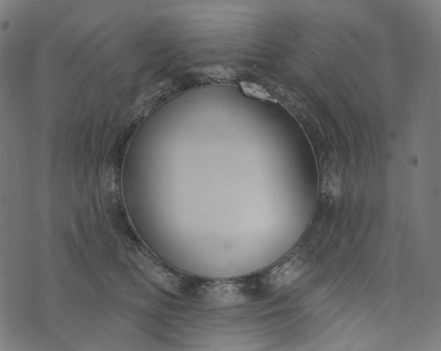 X0000073760518200608171359