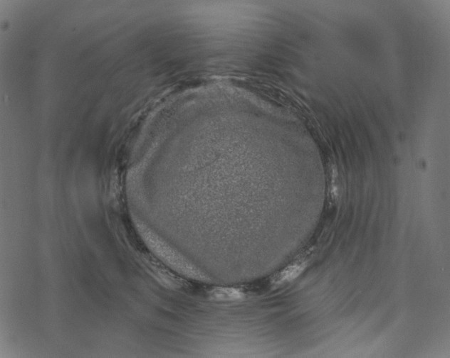 X0000073760519200608171359