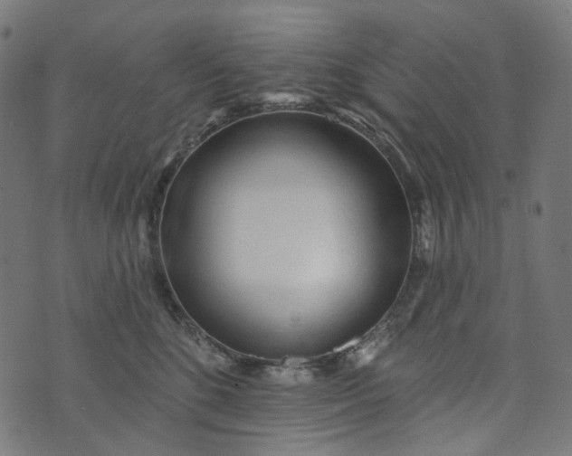 X0000073760520200608171359