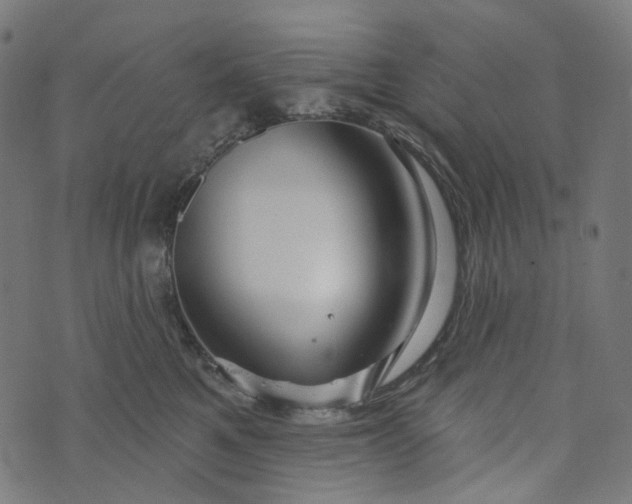 X0000073760521200608171359