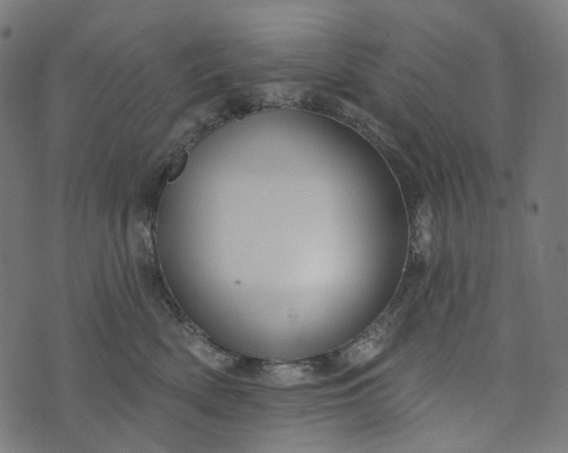 X0000073760522200608171359