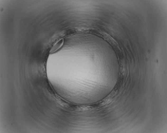 X0000073760523200608171359