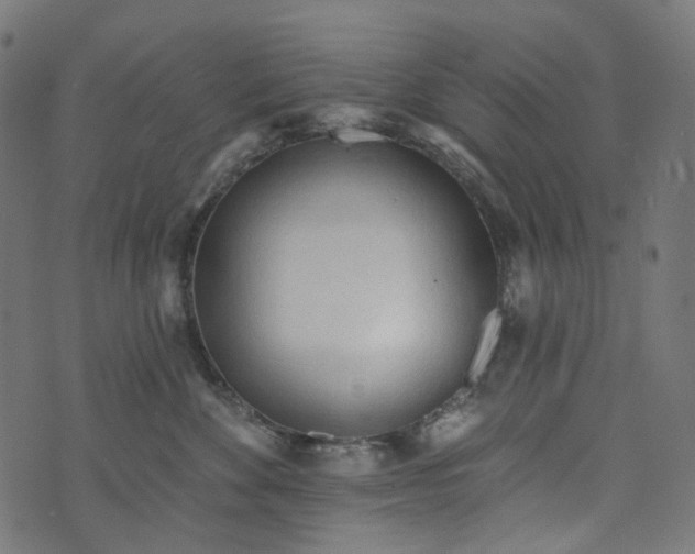 X0000073760524200608171359