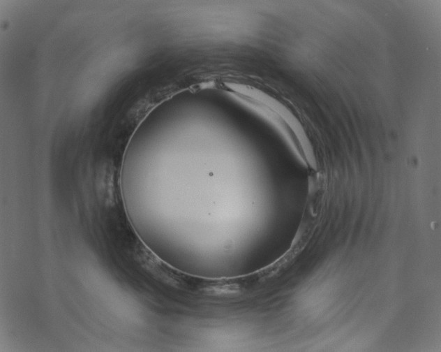 X0000073760525200608171359