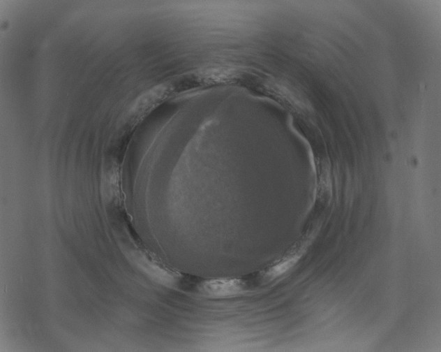 X0000073760526200608171359