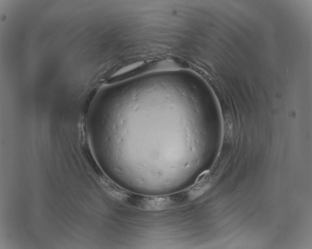 X0000073760527200608171359