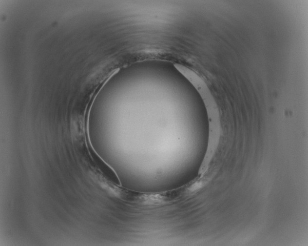 X0000073760528200608171359