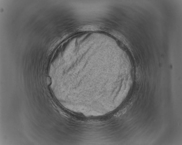 X0000073760529200608171359