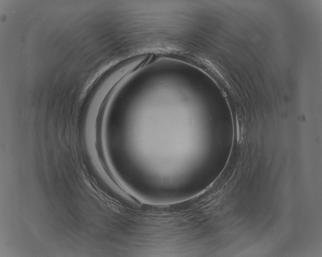 X0000073760531200608171359