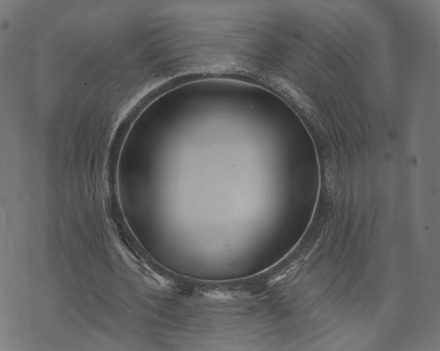 X0000073760532200608171359