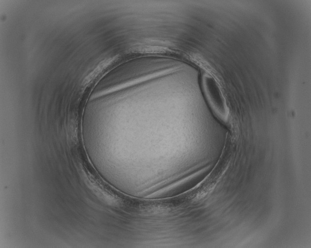 X0000073760533200608171359