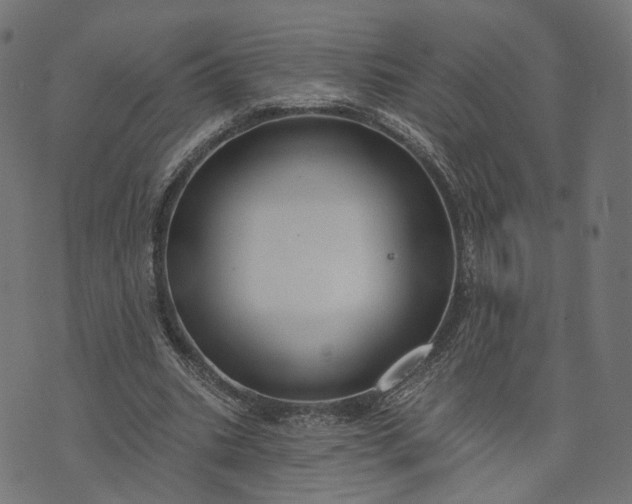 X0000073760535200608171359