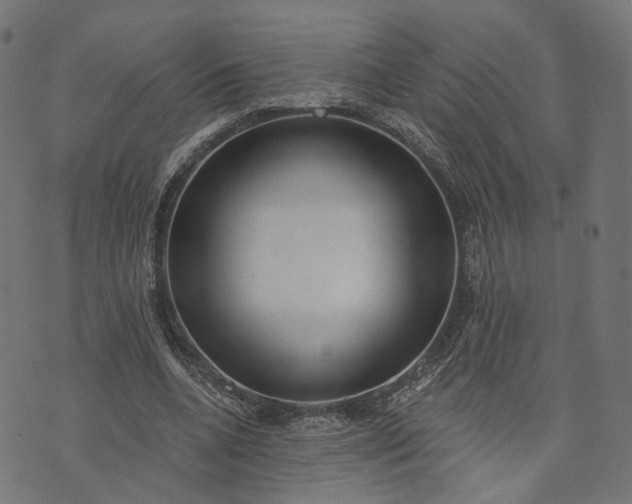 X0000073760536200608171359