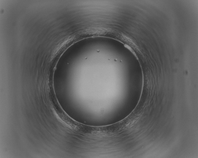 X0000073760538200608171359