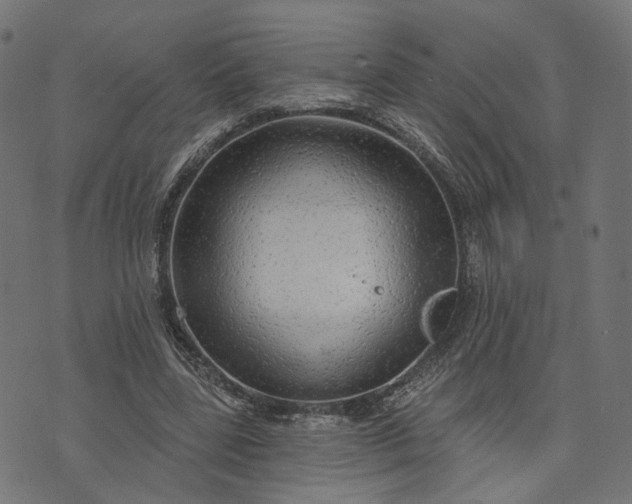 X0000073760539200608171359