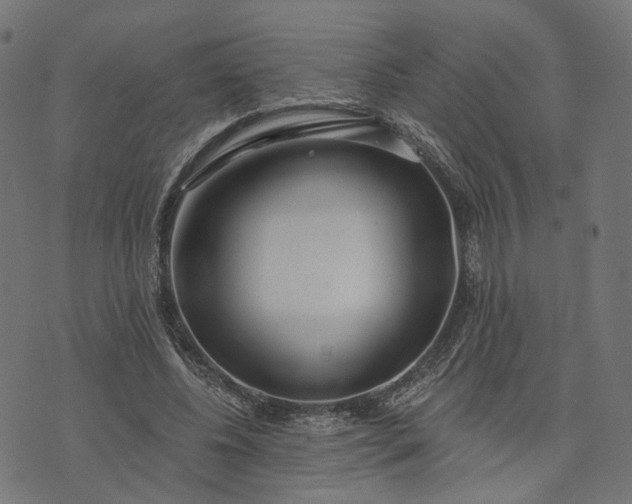 X0000073760540200608171359