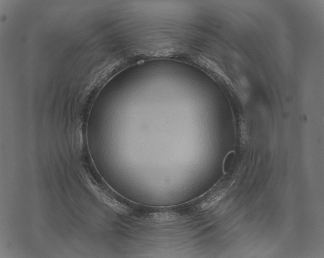 X0000073760541200608171359