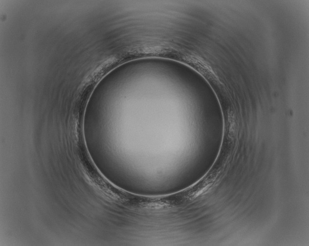 X0000073760542200608171359