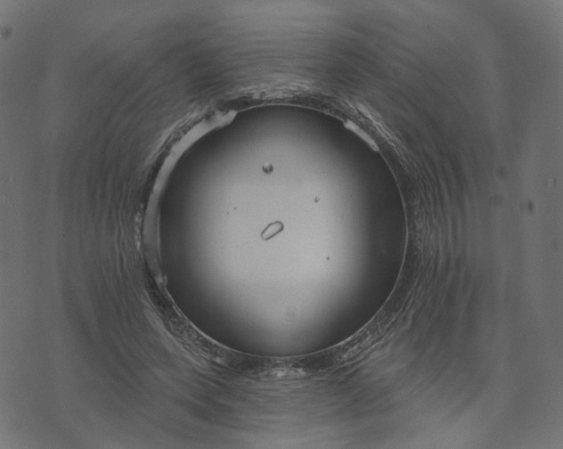 X0000073760543200608171359