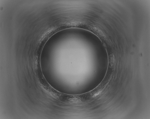 X0000073760544200608171359