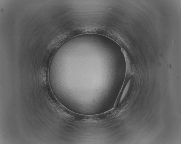 X0000073760545200608171359