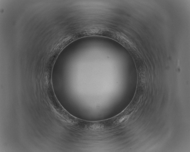 X0000073760546200608171359