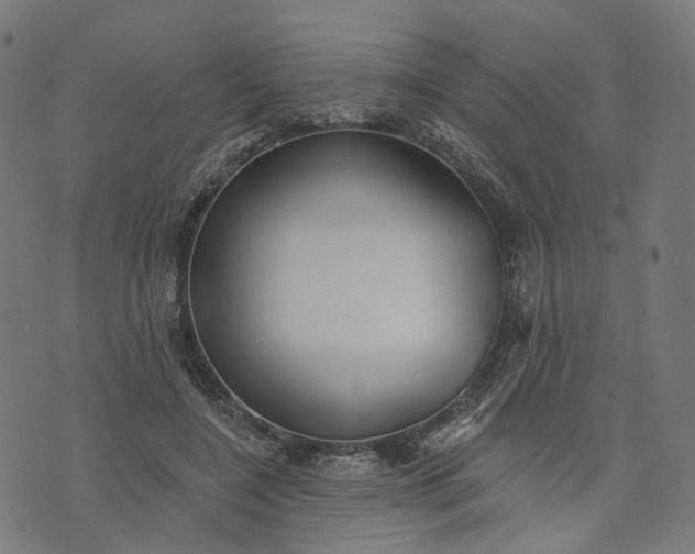 X0000073760548200608171359