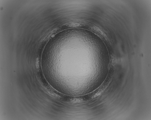 X0000073760549200608171359