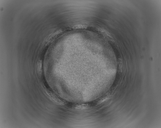 X0000073760550200608171359