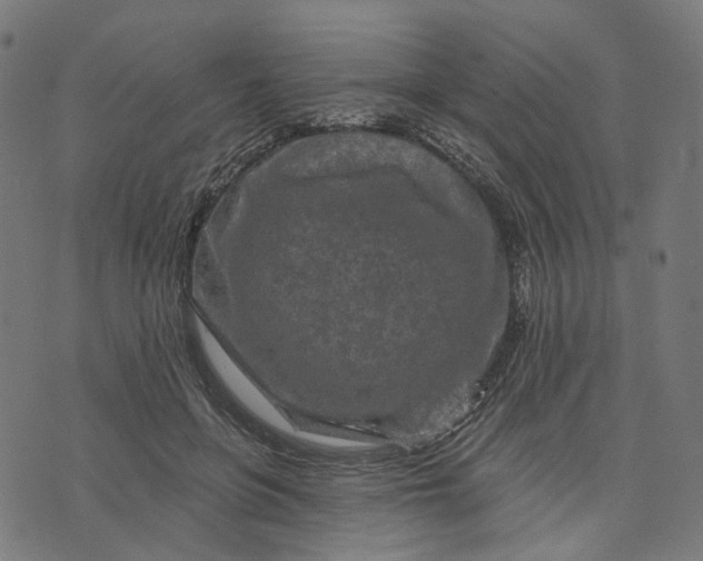 X0000073760551200608171359