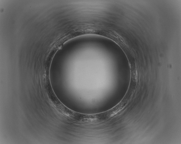 X0000073760552200608171359