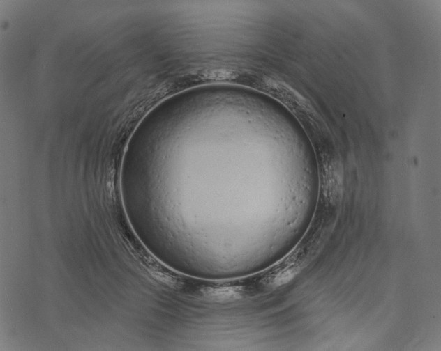 X0000073760553200608171359