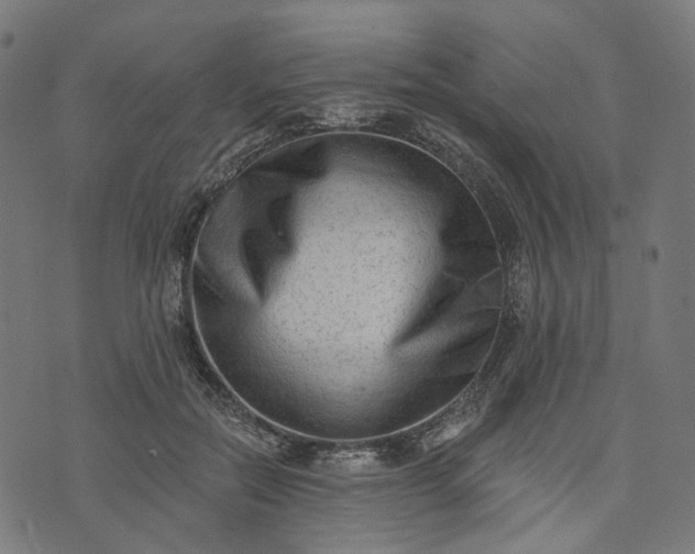 X0000073760554200608171359