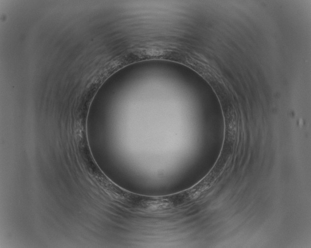 X0000073760555200608171359