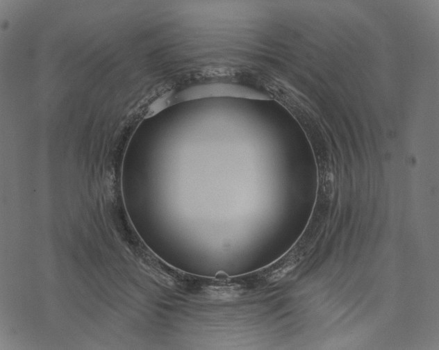 X0000073760556200608171359