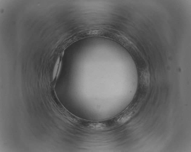 X0000073760557200608171359