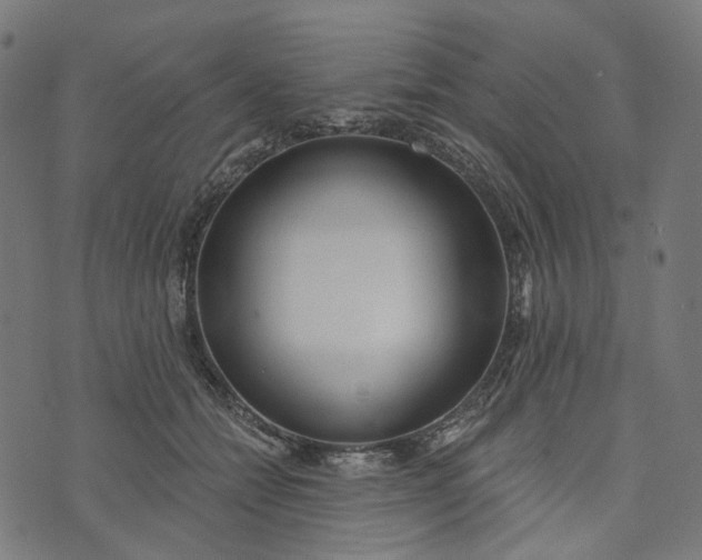 X0000073760558200608171359