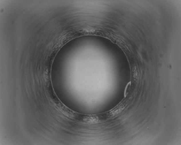 X0000073760559200608171359