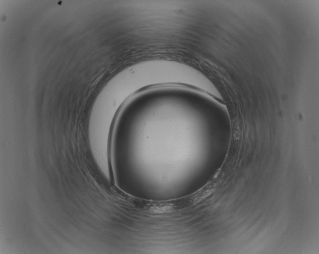 X0000073760560200608171359