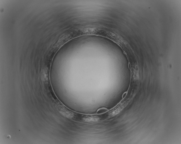 X0000073760561200608171359