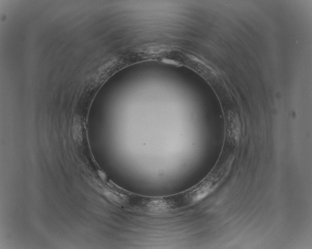 X0000073760562200608171359