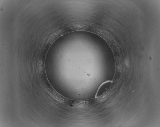 X0000073760563200608171359