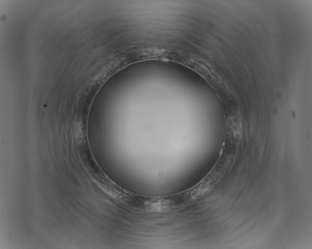 X0000073760564200608171359