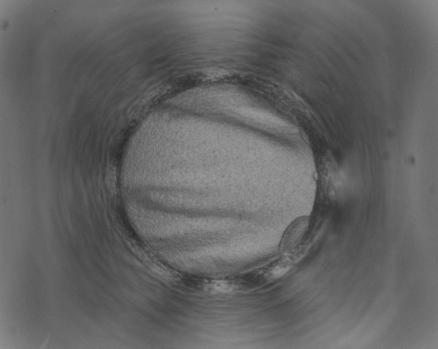 X0000073760565200608171359