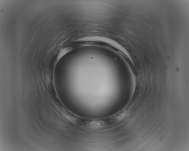 X0000073760566200608171359