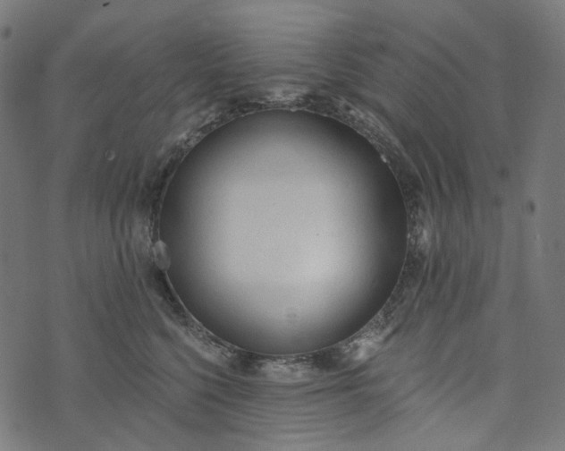 X0000073760568200608171359