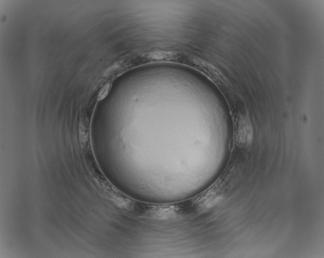 X0000073760569200608171359