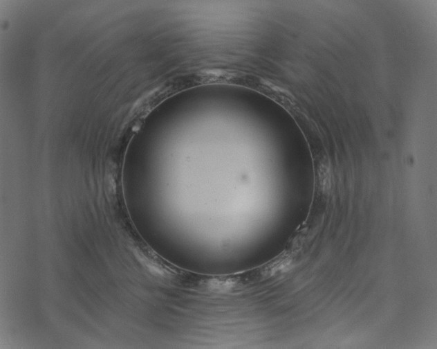 X0000073760570200608171359