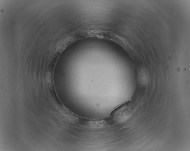 X0000073760571200608171359