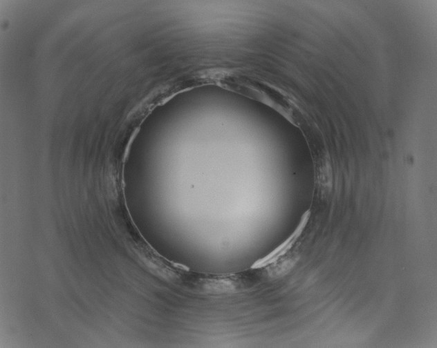 X0000073760572200608171359